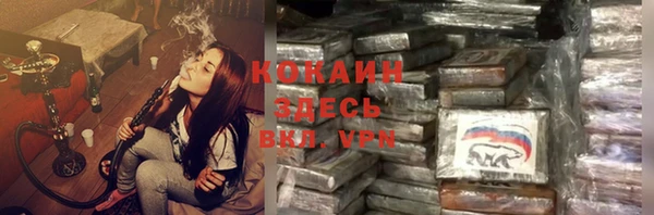 шишки Абаза