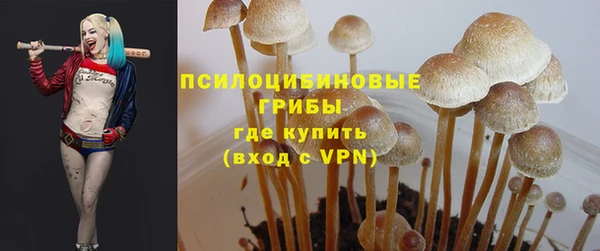 spice Алексин