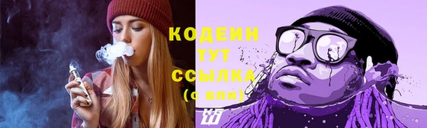 шишки Абаза