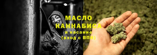 шишки Абаза