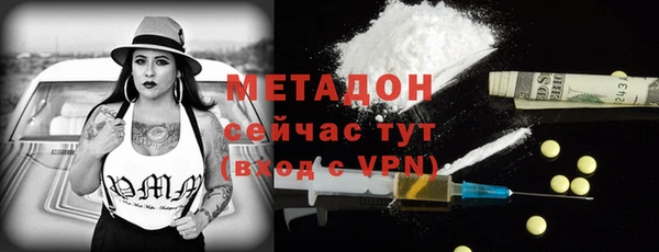 шишки Абаза