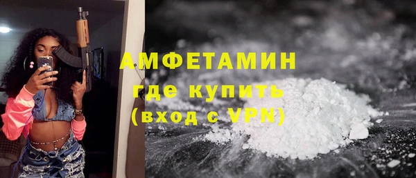 шишки Абаза